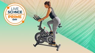 Echelon Fitness workout bike