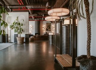 the rebello hotel interior with plants and feature lighting