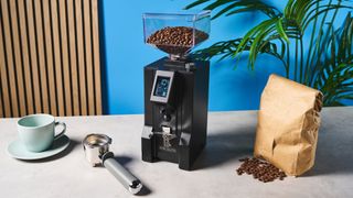 The Eureka Mignon Specialita coffee grinder on a kitchen counter against a blue wall