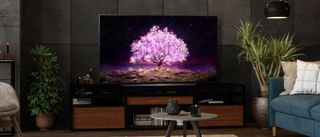 A LG C1 OLED in a dark living room