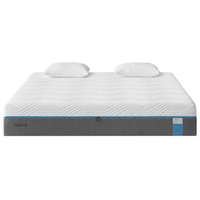 Tempur-Pedic Cloud$1,699