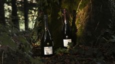 Champagne Bollinger La Grande Année 2015