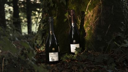 Champagne Bollinger La Grande Année 2015