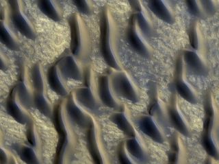 Dusty, glass-rich sand dunes like these found just south of the north polar ice cap could cover much of Mars. (False color image)