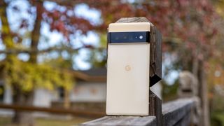 Google&#039;s Pixel 6 Pro on a fence with Autumn trees in the background