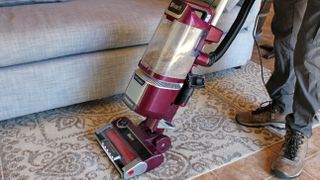 Shark Rotator Pet Lift-Away ADV Upright Vacuum