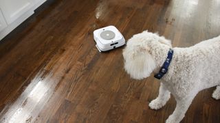 iRobot Braava jet m6 robot mop review