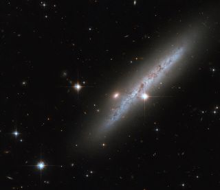 The somewhat amorphous spiral galaxy UGC 2890 appears side-on in this image from the Hubble Space Telescope, with bright foreground stars studding the image. This galaxy, which lies around 30 million light-years away in the constellation Camelopardalis, hosted a powerful supernova explosion that astronomers observed in 2009.