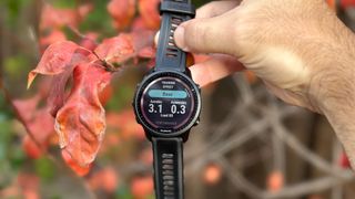 Training effect scores on the Garmin Forerunner 955