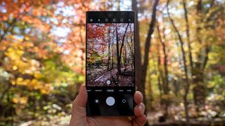 The camera viewfinder of the Samsung Galaxy S22 Ultra looking at Autumn trees