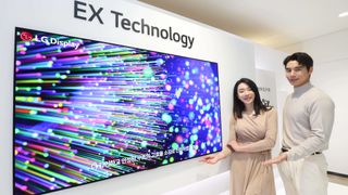 LG OLED EX