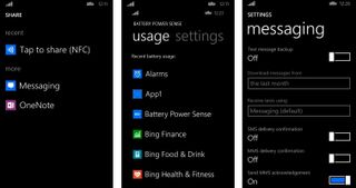 WP81 Screens