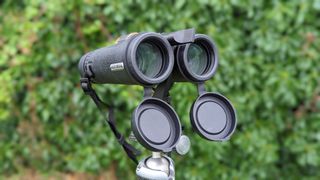 Binoculars with green foliage backdrop