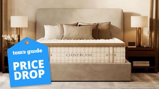 Cloverlane 15” Hybrid Luxury Firm Mattress on a tall bed and topped with 5 plush cushions