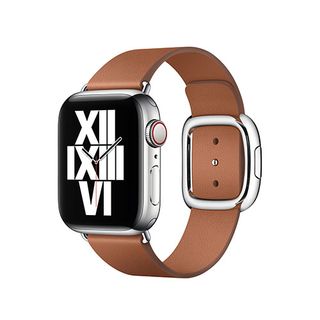 Modern Buckle Apple Watch band