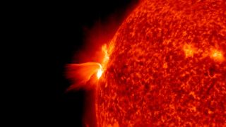 The sun unleashed a major X1.1 class solar flare from an active sunspot cluster on its eastern limb on April 17, 2022 GMT. This view was taken by NASA's Solar Dynamics Observatory.