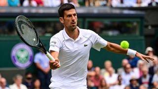 Novak Djokovic in action at Wimbledon