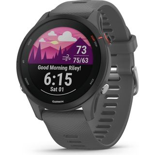 Garmin Forerunner 255 product render