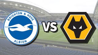 The Brighton &amp; Hove Albion and Wolverhampton Wanderers club badges on top of a photo of The Amex Stadium in Brighton, England