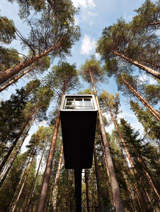 Treehotel, Harads, Sweden