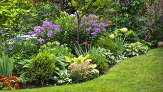 Colorful flower border in full bloom