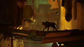 screenshot stray