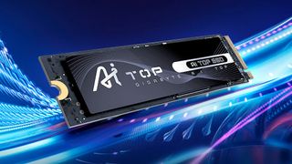 AI TOP 100E SSD