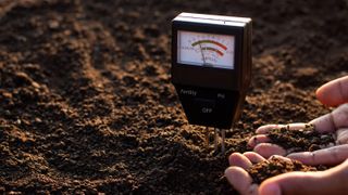 A soil test being used to check the conditions of the soil