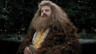 Robbie Coltrane as Rubeus Hagrid in Harry Potter and the Prisoner of Azkaban