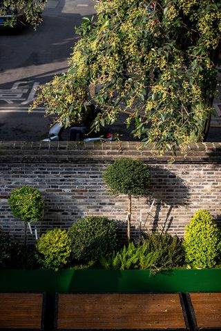 garden view of Zhang Taiyan by Tsing-Tien Making