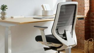 Branch Ergonomic Chair review