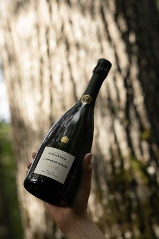 Champagne Bollinger La Grande Année 2015