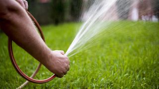 Someone watering the grass with a hose