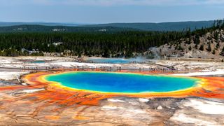 yellowstone national park