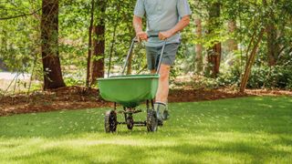 A man pushing a spreader and distributing fertilizer