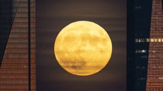 A large yellow moon in between two skyscrapers at night