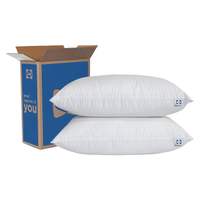 1. Sealy Slumber Bed Pillow:was from $31.99now $25.40 at Amazon