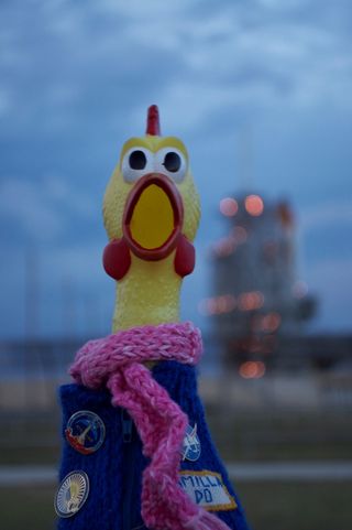 NASA's Solar Dynamics Observatory (SDO) launched one year ago on February 11, 2010, from Cape Canaveral, on a mission to study the sun's atmosphere. Camilla Corona SDO (pictured) serves as the mission mascot for NASA's Solar Dynamics Observatory (SDO). Sa