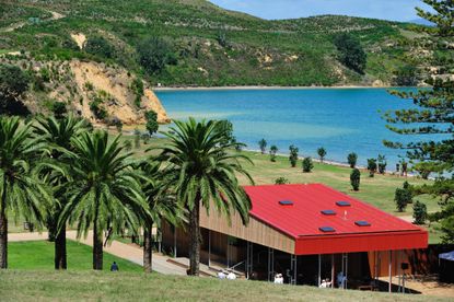 view of rotoroa island in auckland, red roof in foreground and trees and bay in background