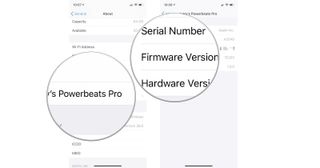 Tap Powerbeats Pro, then get your serial numbere