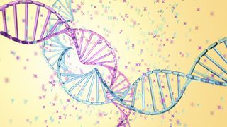 An artist&#039;s rendering of two strands of DNA, one blue and one pink, with tiny X and Y chromosomes in the background