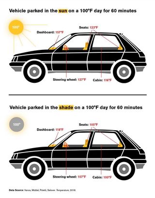 Cars can become deadly after 1 hour in the sun or the shade on a hot day.