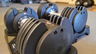 Flybird Adjustable Dumbbells in their storage trays