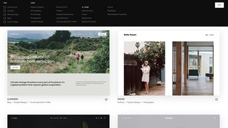 Squarespace's template selection screen