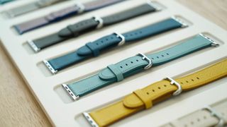 Apple Watch Bands