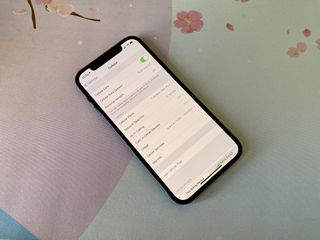 Iphone Cellular Data