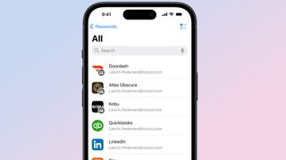 iOS 18 Passwords app