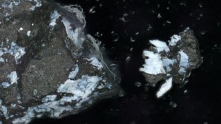 Two pieces of rocky material are seen with blueish areas highlighted.