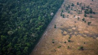 Healthy vegetation sits next to a field cleared by a fire in the Amazon in Rondonia State, Brazil