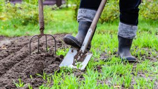 Someone using a shovel to prepare the soil in their yard